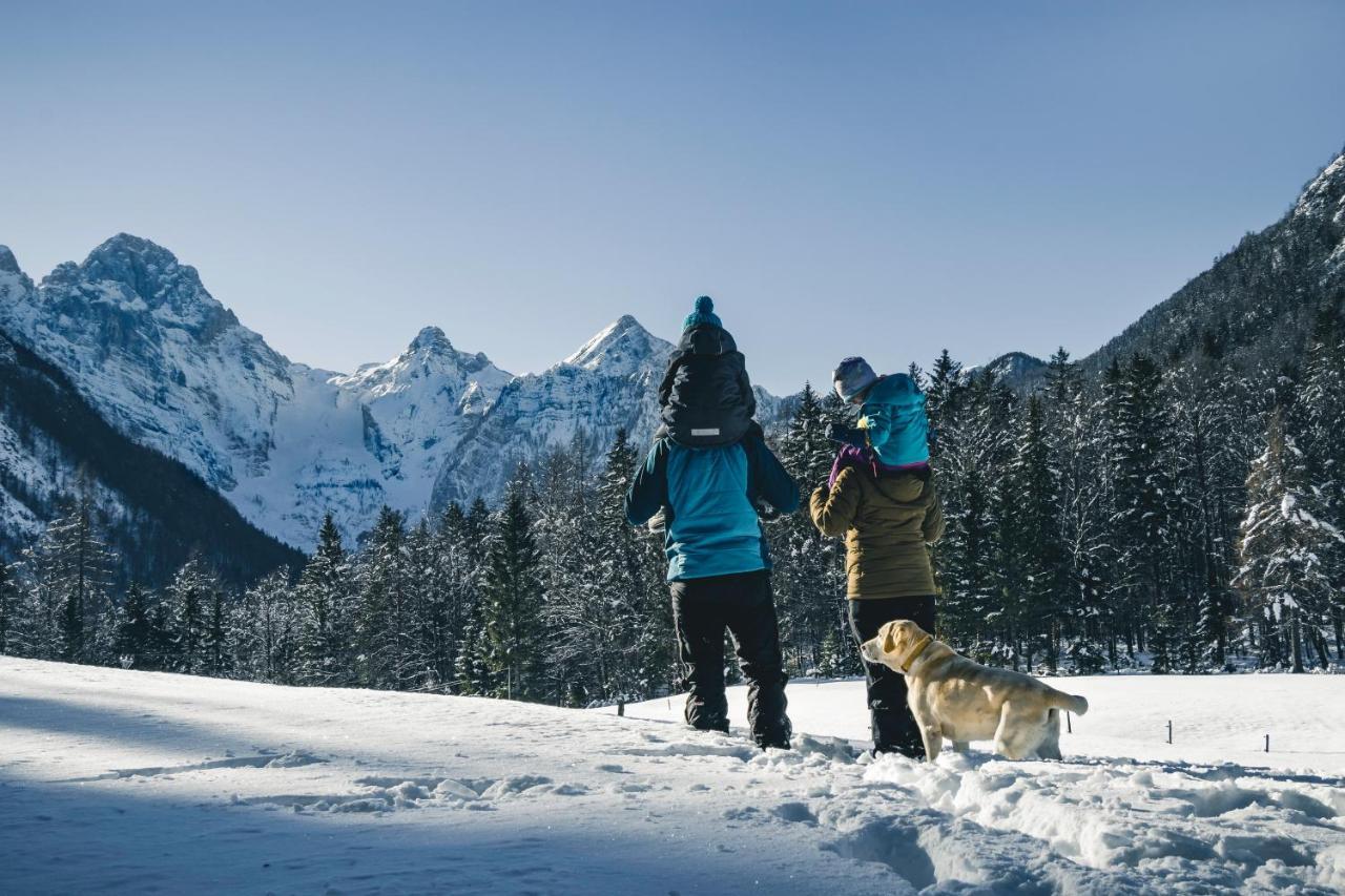 Apartma Borovc Mojstrana Esterno foto