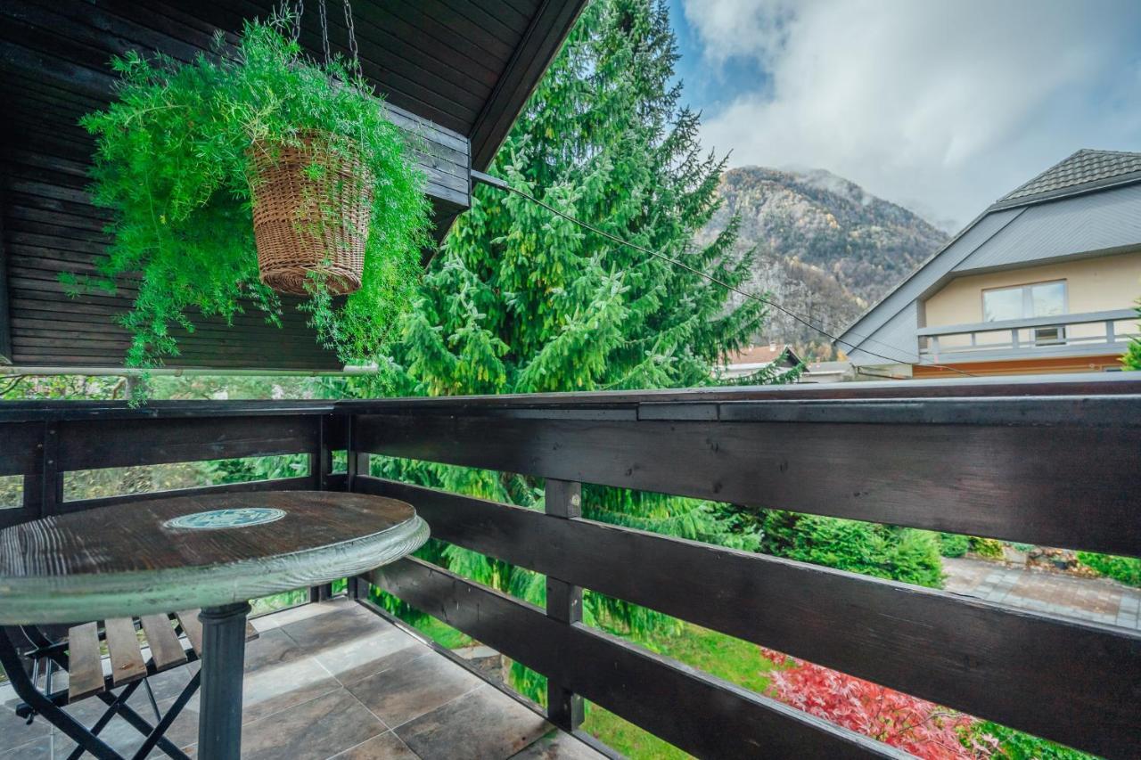 Apartma Borovc Mojstrana Esterno foto