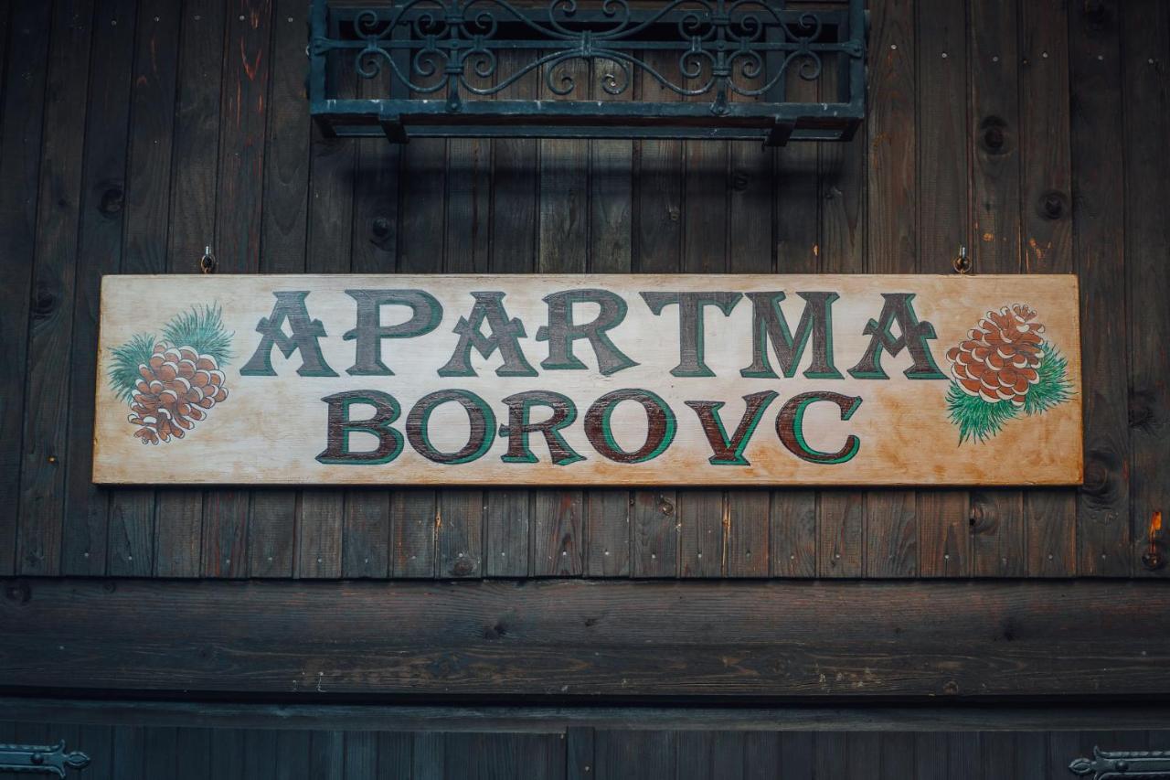 Apartma Borovc Mojstrana Esterno foto