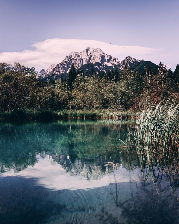 Apartma Borovc Mojstrana Esterno foto
