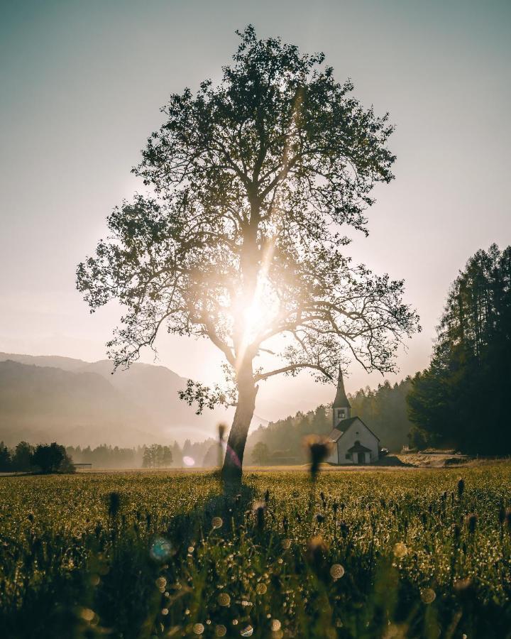 Apartma Borovc Mojstrana Esterno foto